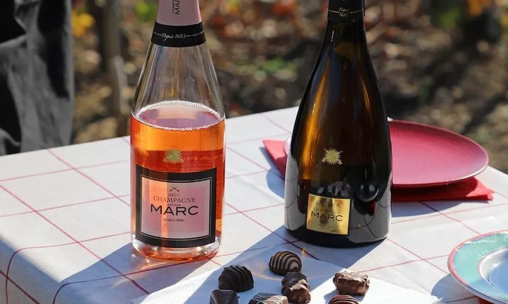 A unique sensory experience in the vineyards