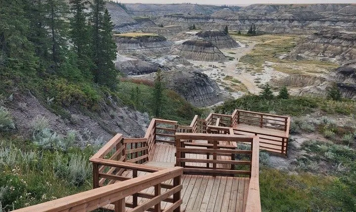 1 Day in Dinosaur Country Minibus Drumheller Adventure