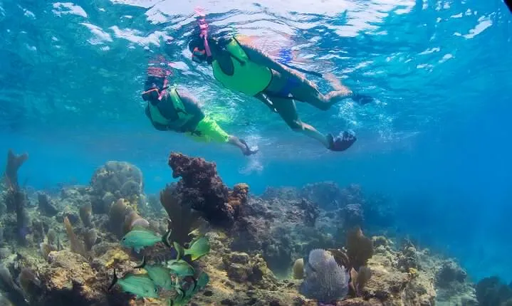 Key West Rum and Reggae: Reef Snorkel Adventure and Sunset Sail