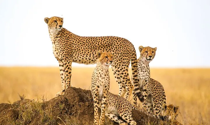 12 Days Tour Namibia In Plus | Self Drive Lodge