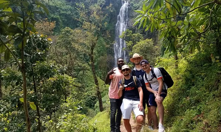 Private Tour to Materuni waterfalls, coffee tour & Kikuletwa hot- springs