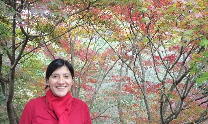 Tour by car with a Kyoto native away off touristy｜a local show you secret places