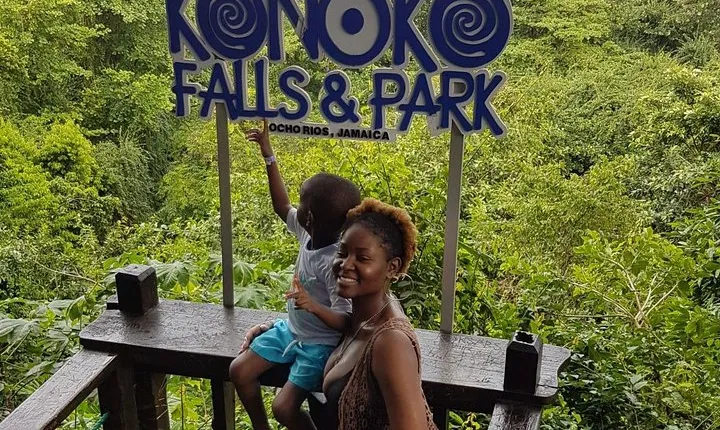 Konoko Falls & Park Private Transportation