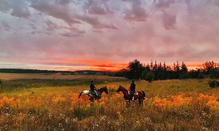 Champagne and Charcuterie Sunset Trail Ride