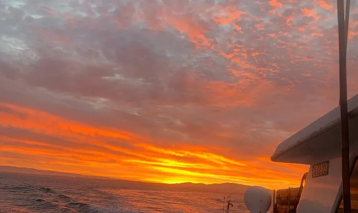 Sunset Whale Watch Tour in Monterey