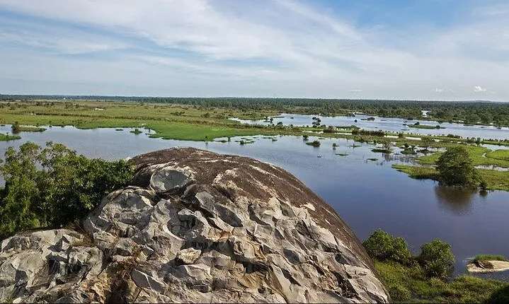 Kalametiya Sanctuary Birdwatching Boat Ride