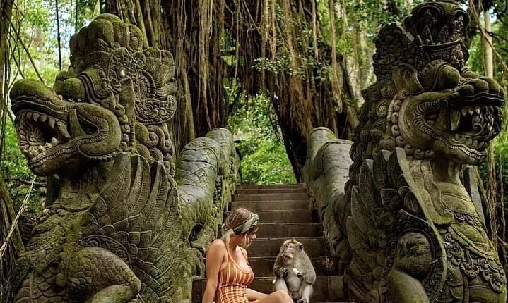 Full Day Private Ubud Tour - All Inclusive