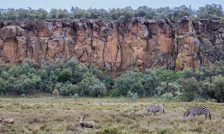 1 Day trip to Hells Gate National Park and Lake Naivasha