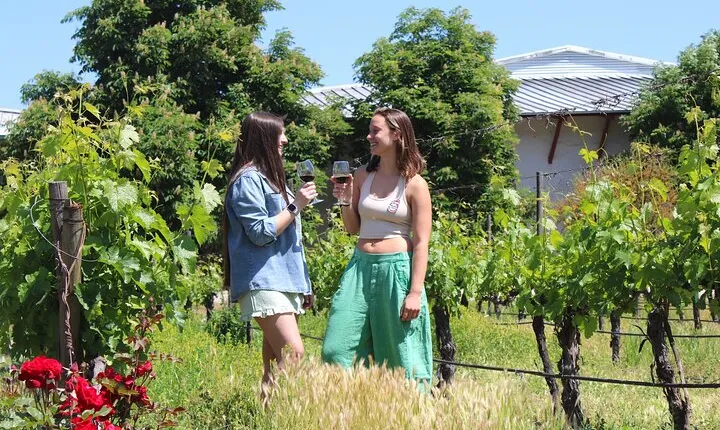 Santa Rita Vineyard Tour with Lunch An unforgettable experience!