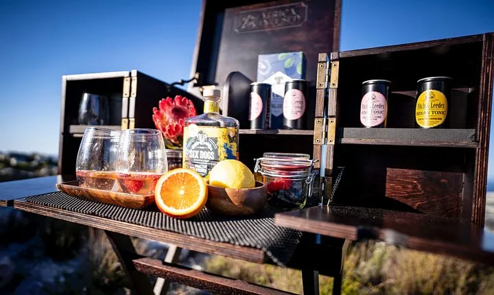 Private Gin & Tonic Sightseeing and Tasting in Cape Town