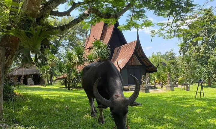 Thailand 7-Stop Tour with English Guide & Thai Buffet