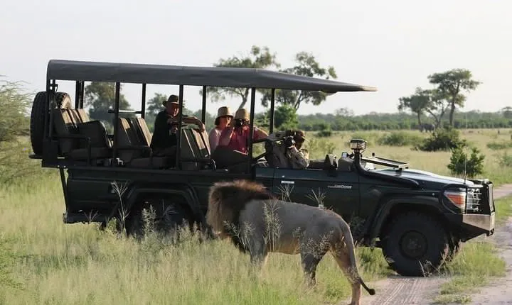 Chobe Day Trip from Livingstone