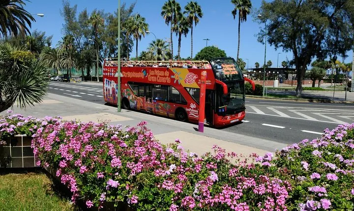 City Sightseeing Las Palmas de Gran Canaria Hop-On Hop-Off Bus Tour