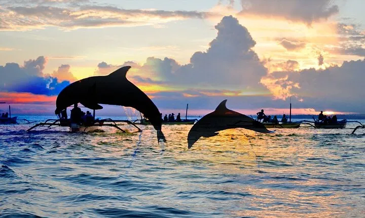 Overnight Trip To Lovina 2 Days 1 Night Best Package