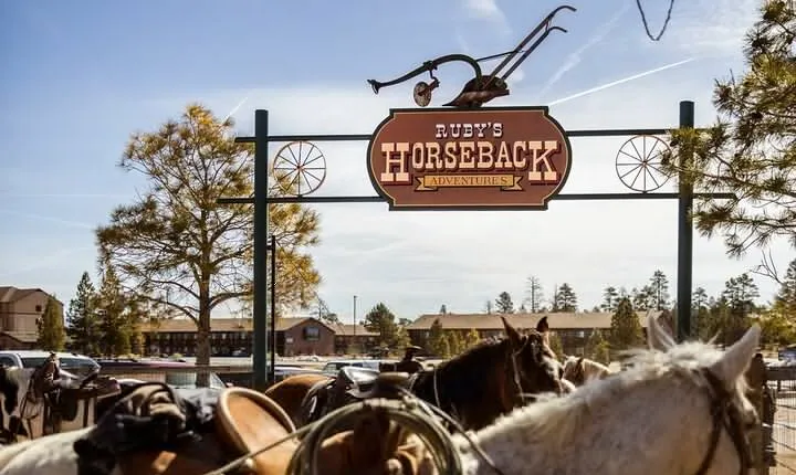 Ruby's Horseback Adventures Utah 1.5 Hour Ride