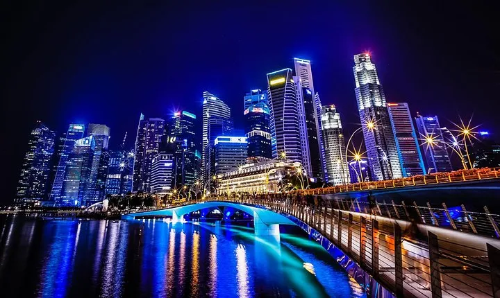 Singapore Night Signature with Dinner (Shared Transfer)