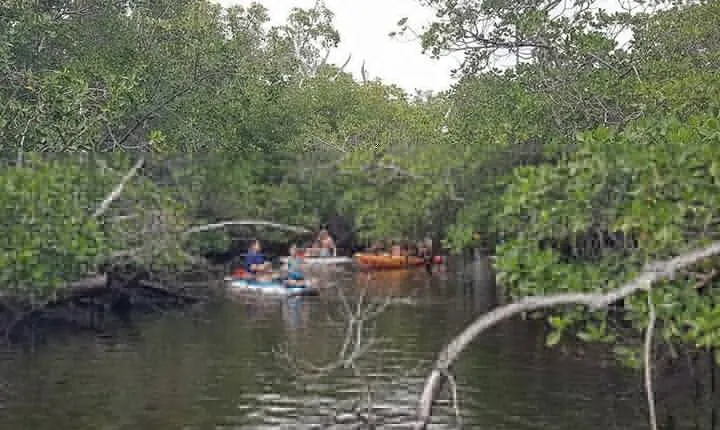 One Way Ticket To Paradise Ft. Lauderdale Exploration Paddle Tour