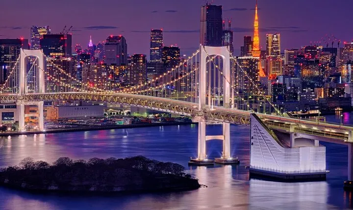 Tokyo in a Day : Private Tour to Shrine, Temples, Towers &Culture