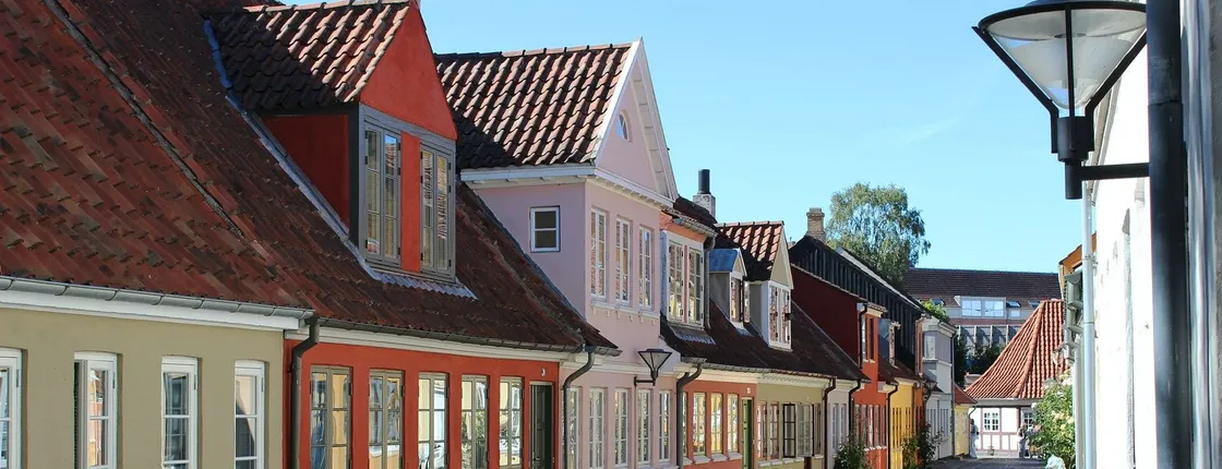 Odense private walking tour