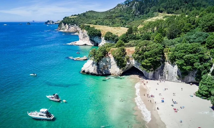 Cathedral Cove & Coromandel Peninsula Small-Group Day Tours 