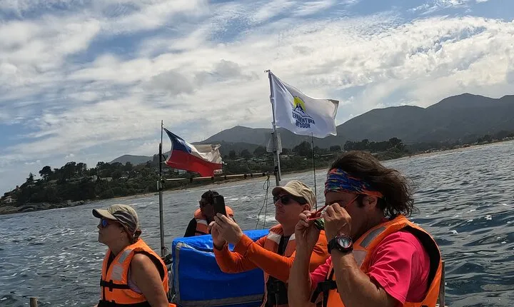Penguins Watching Navigation Cachagua Island & Lunch From STGO