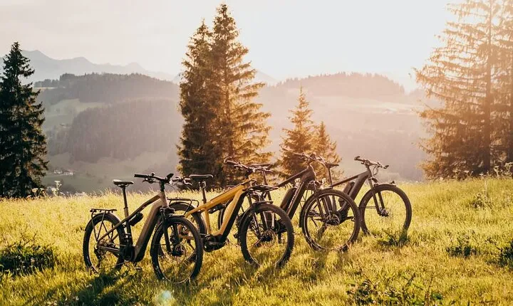 E-Bike Half-Day Trip to Harrys Rock or Corfé Castle