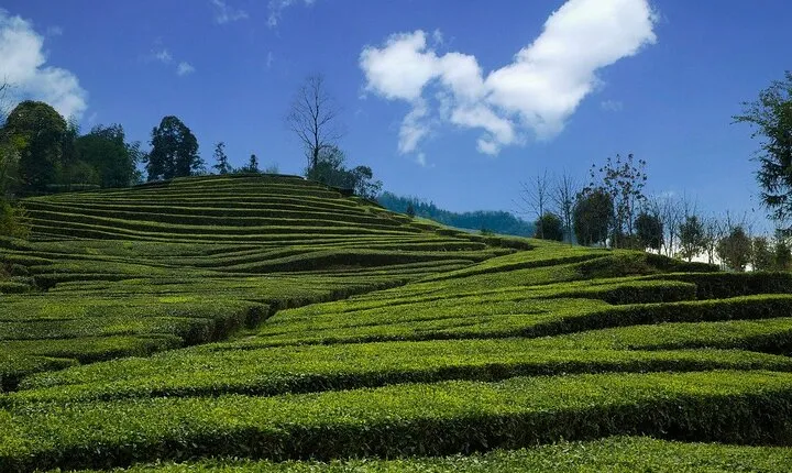 The Best of Yichang Walking Tour