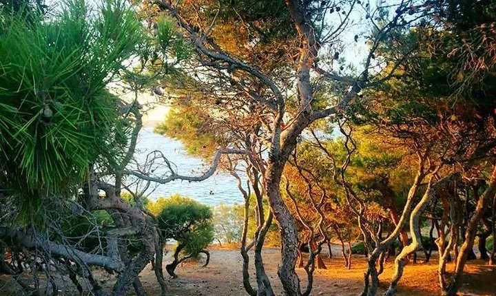Andromeda Experiences: VIP Sunset Photo Walk Golden Hour of Paros