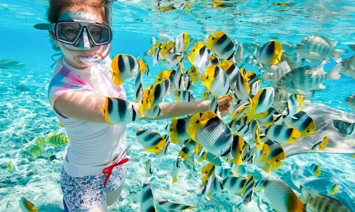 Red Sea Hurghada and Snorkeling Tour