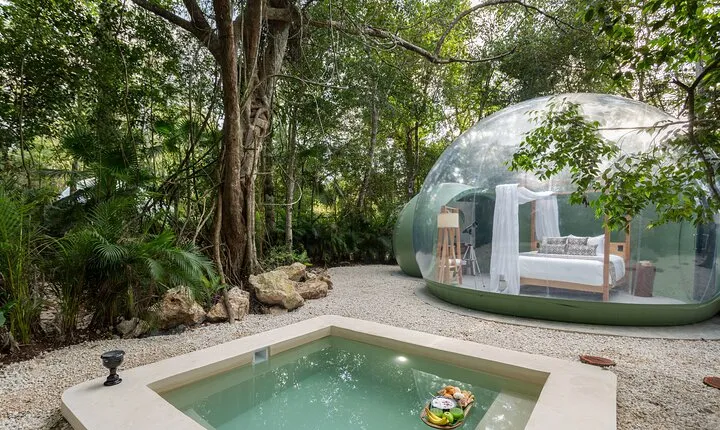 Overnight Experience in Private Bubble Suite