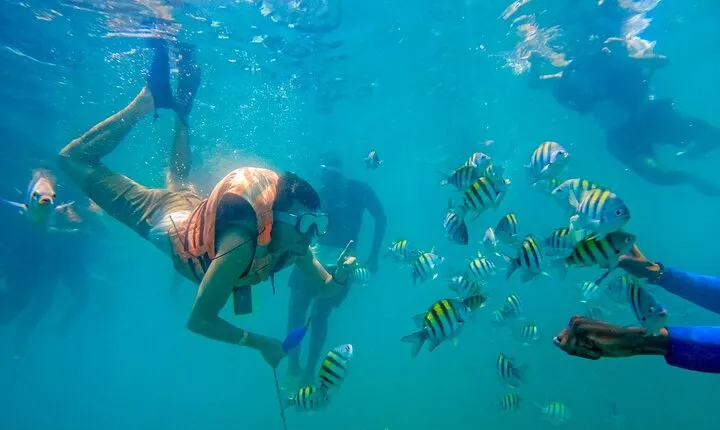 Adventure full day Isla Barú + Mangroves + Snorkel + bioluminescent plankton