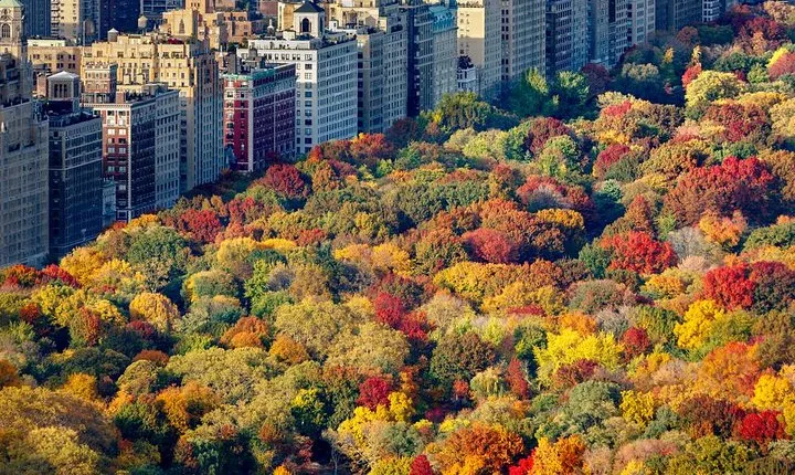 Private Hudson Valley Fall Foliage Helicopter Charter from Manhattan