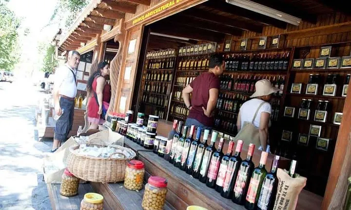Shore Excursion Sirince Village & Ephesus Low Cost