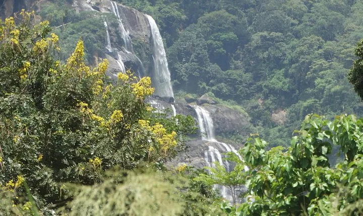 6 Days Safari to Udzungwa Mountain NP, Ruaha NP and Mikumi NP
