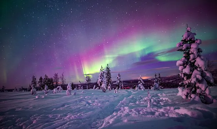 Night Snowshoeing Adventure under the Northern Lights
