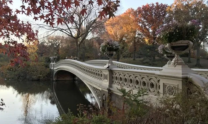 Self-Guided Scavenger Hunt: New York City Central Park Adventure