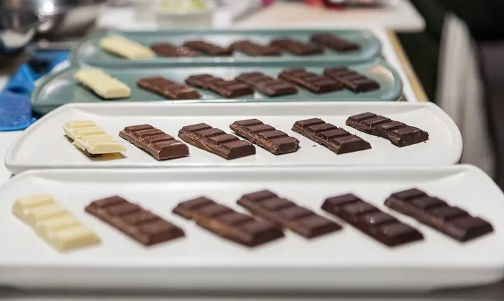 Cacao Chronicles: A Mexican Chocolate Tasting