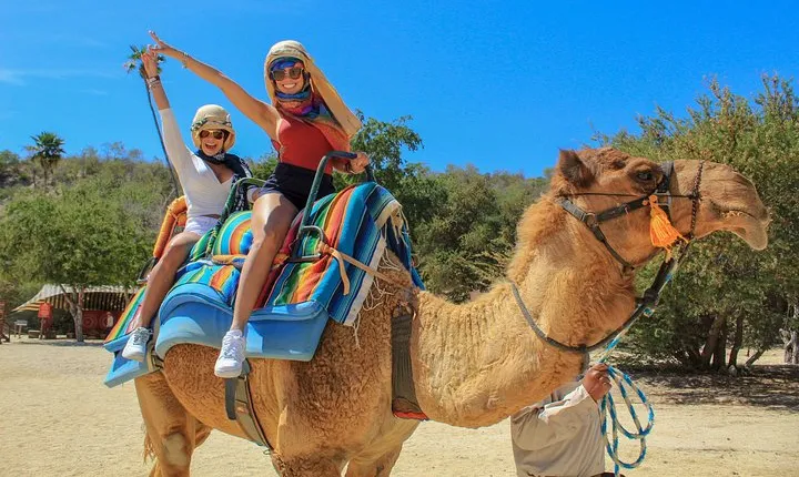 Camel Quest with Snacks & Waterslides