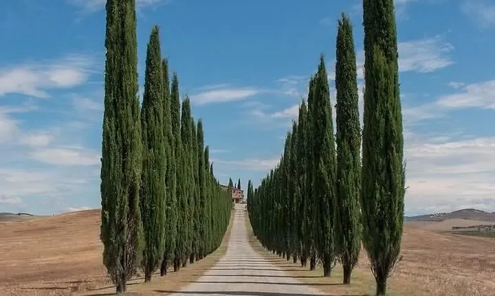 From Rome: Private Day-Tour of Tuscany