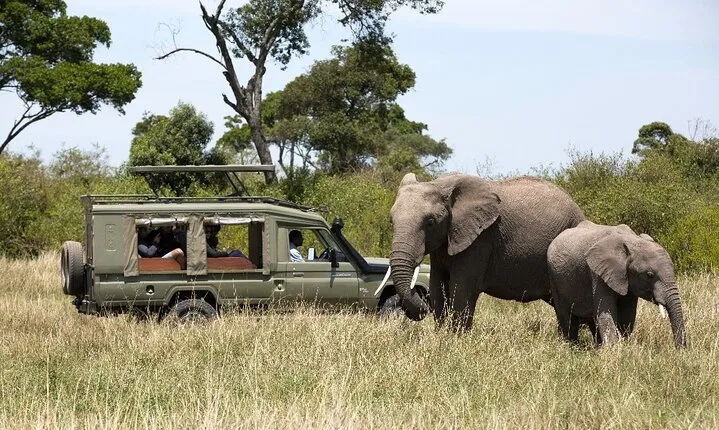  3 Days Safari Tour to Serengeti National Park