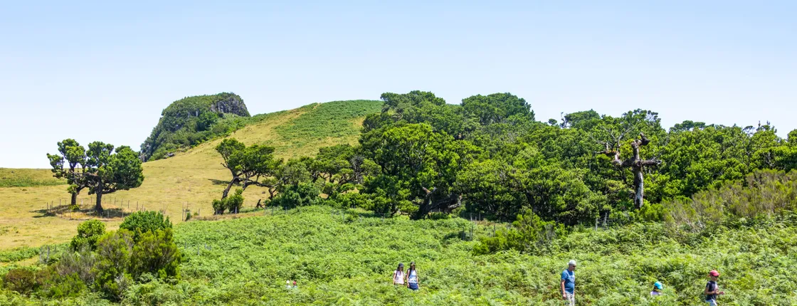Fanal Assobiadores Walk