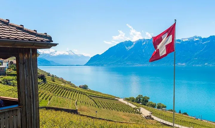 Panoramic Wine Tour From Montreux