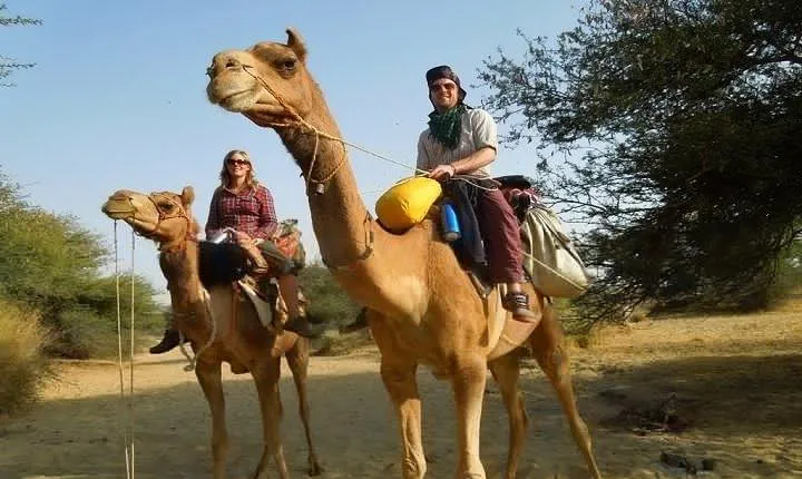 Private Chandigarh Day Trip from New Delhi 