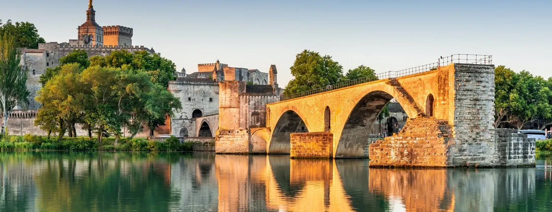 Combined entrance tickets for Palais des Papes and Pont d'Avignon