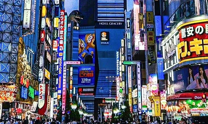 Tokyo City Tour in Shinjuku with Licensed Guide