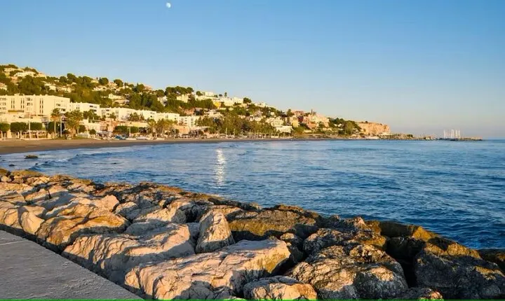 Tour at Malaga Fishing Scene with Cooking Workshop