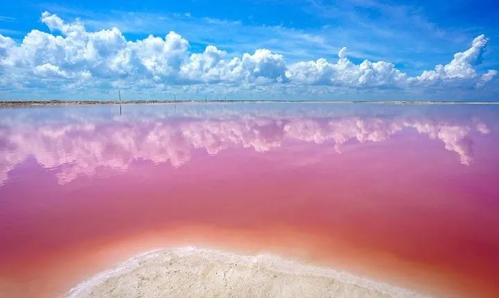 Las Coloradas and Río Lagartos Private Tour