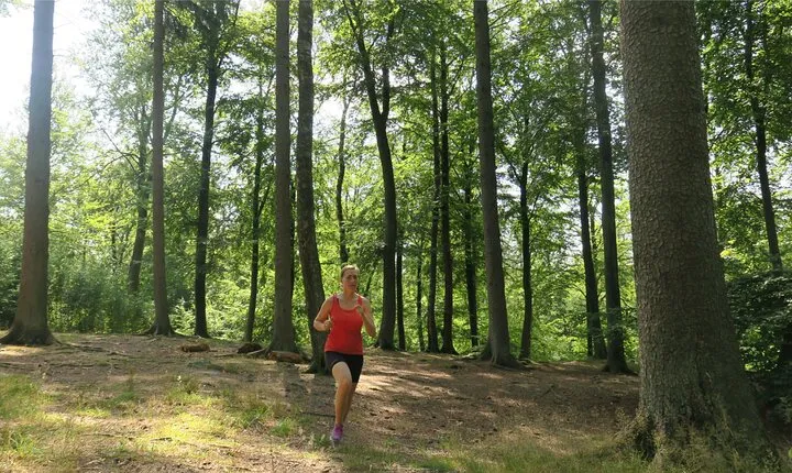 Trail Running Adventure Greater Copenhagen