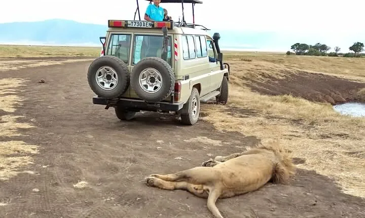 3 Days Exploring Serengeti & Ngorongoro Crater from Arusha