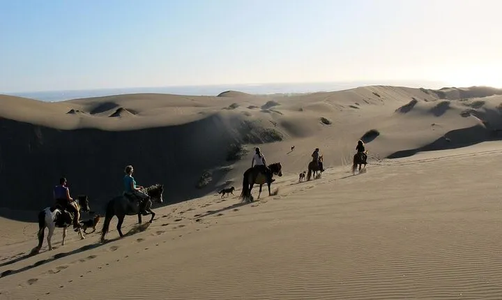 Private Valparaiso, Winery ,Dunes Horse Ridding & BBQ - Santiago